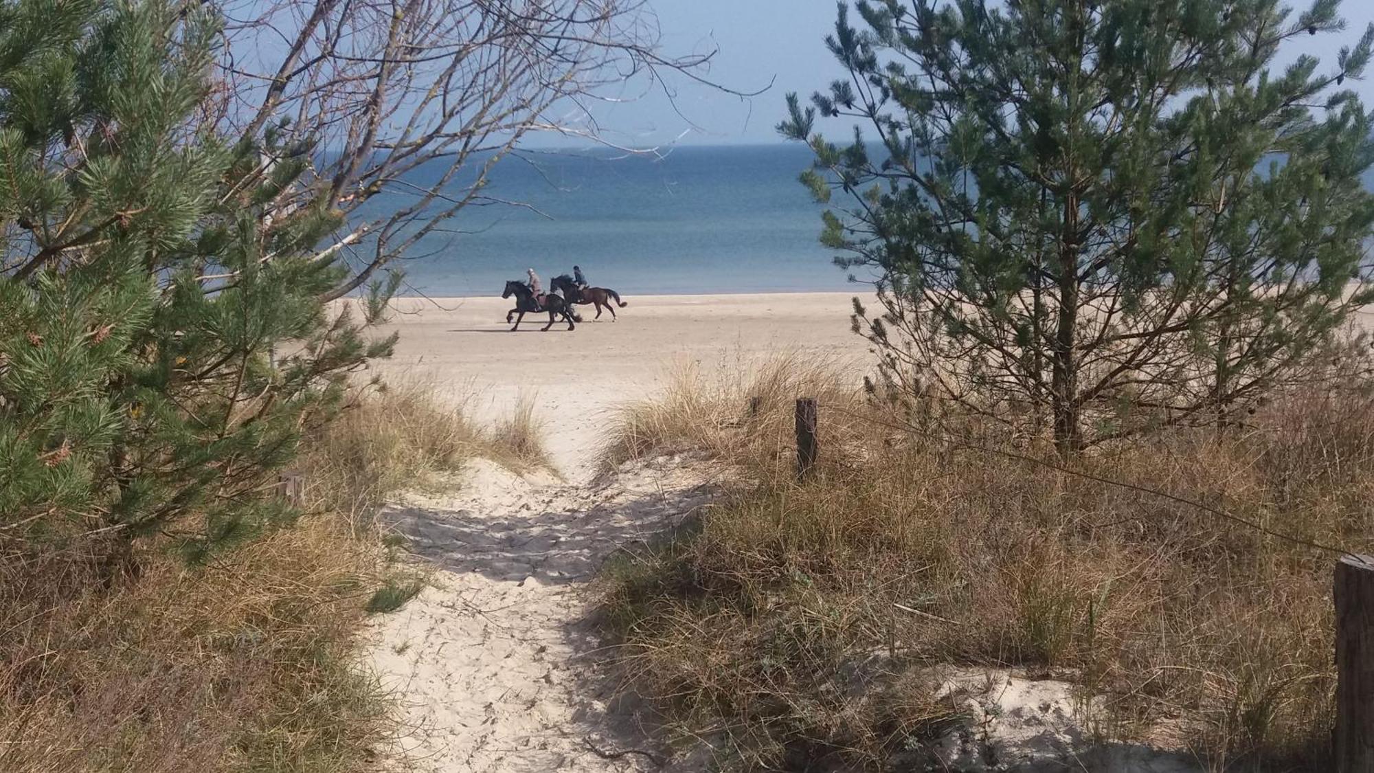 Ostseemuschel Karlshagen Екстер'єр фото